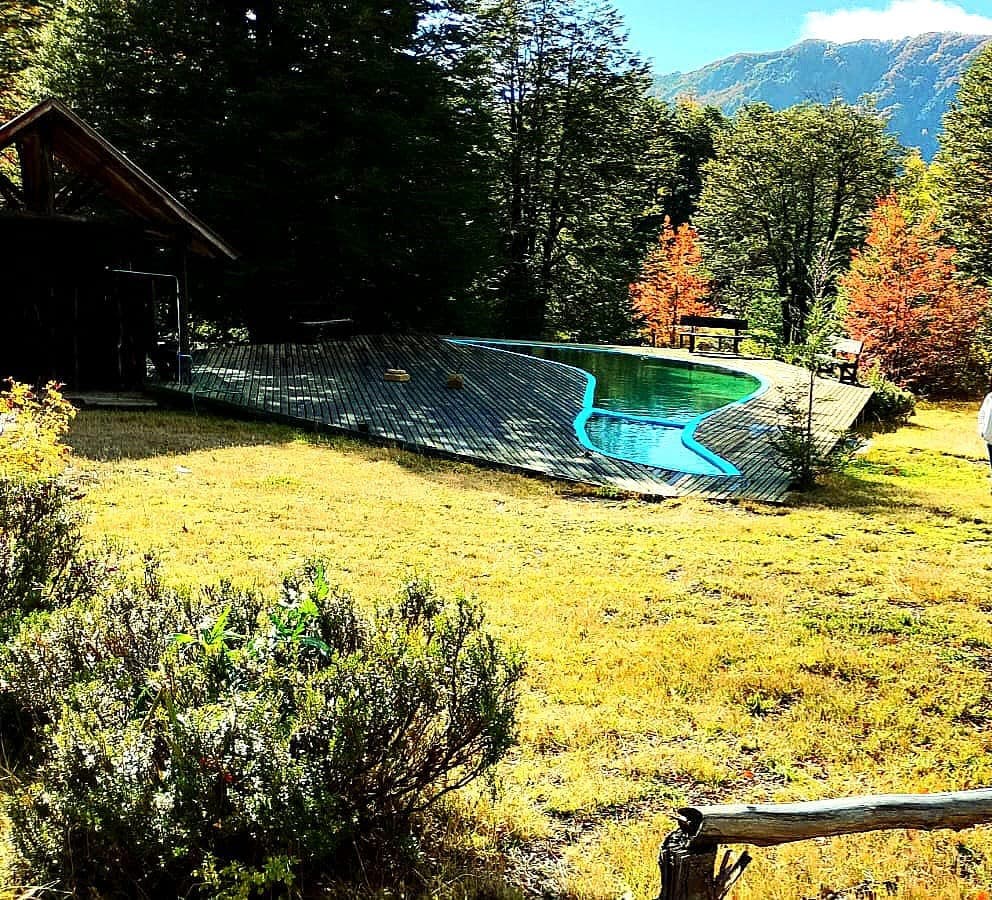 PUCON / PALGUIN ALTO