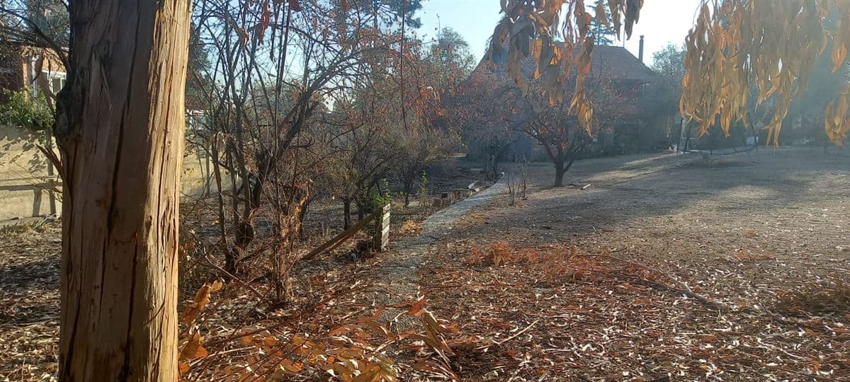 Maria Monvel sector medio