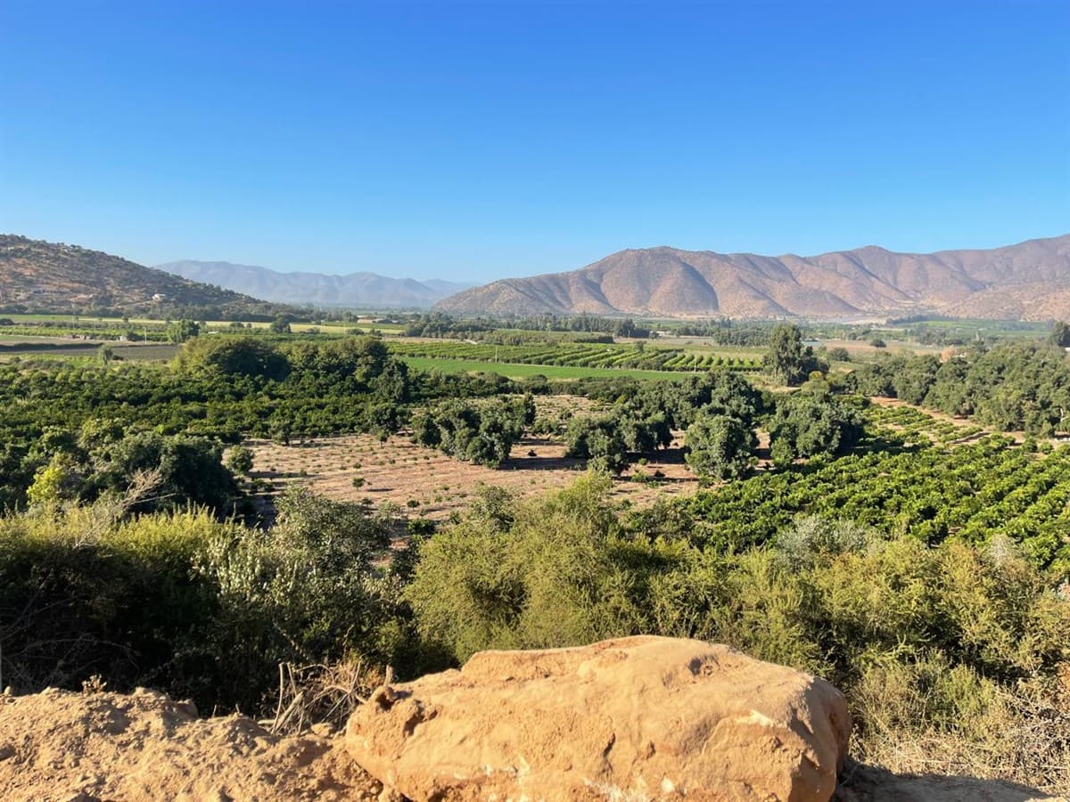 Sector Los Canelos de Miraflores