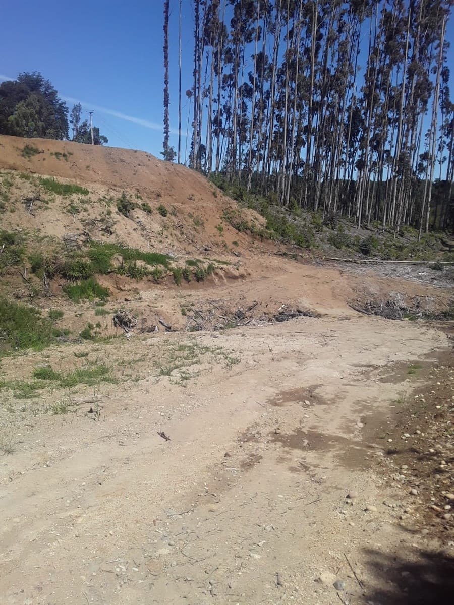 Brisas de Puerto Varas