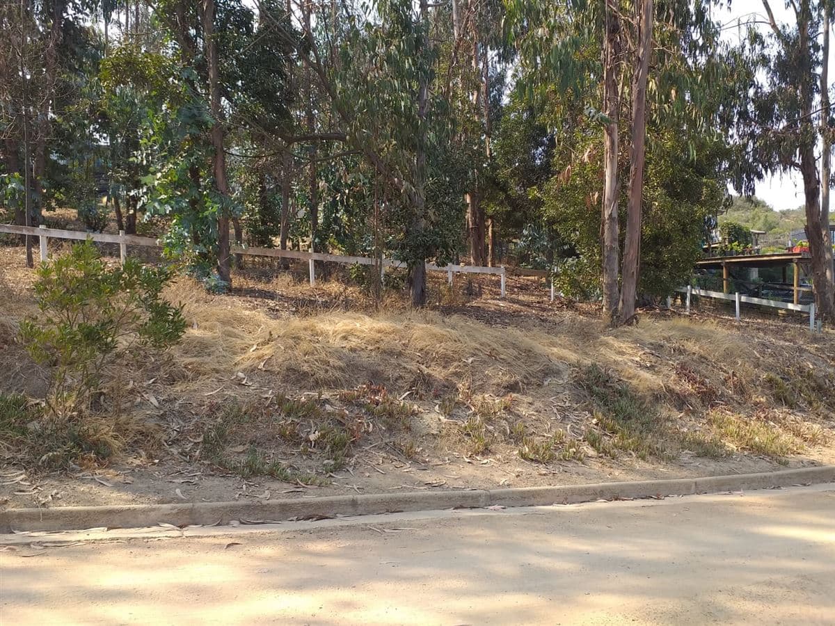 Condominio La Divisa Maitencillo