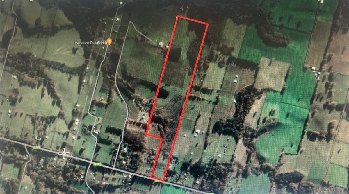 Séptima Faja camino de Villarrica a Loncoche km 16