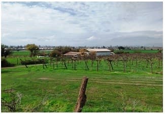 Las Bandurrias Rinconada