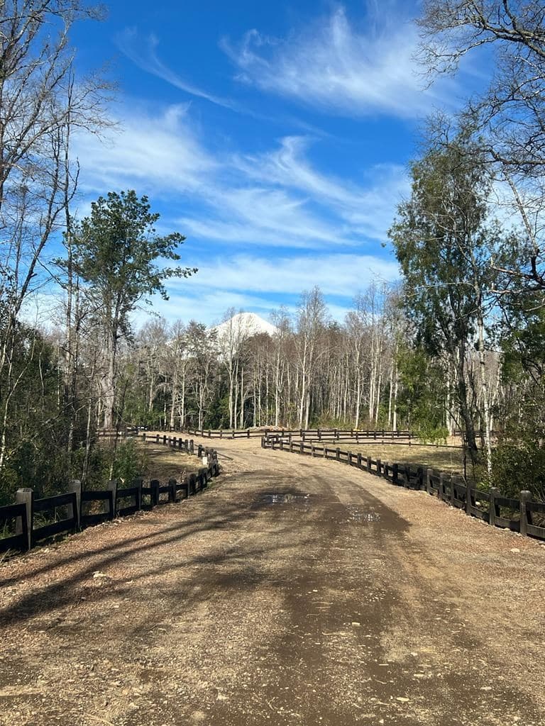 SITIO OPORTUNIDAD LONCOTRARO