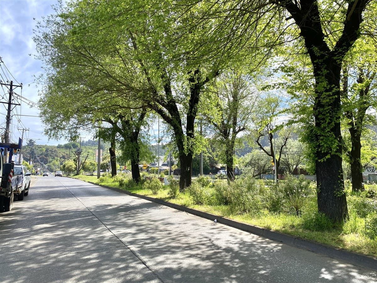 COD39300 - Avenida Av.Prieto Norte, Conversable. 