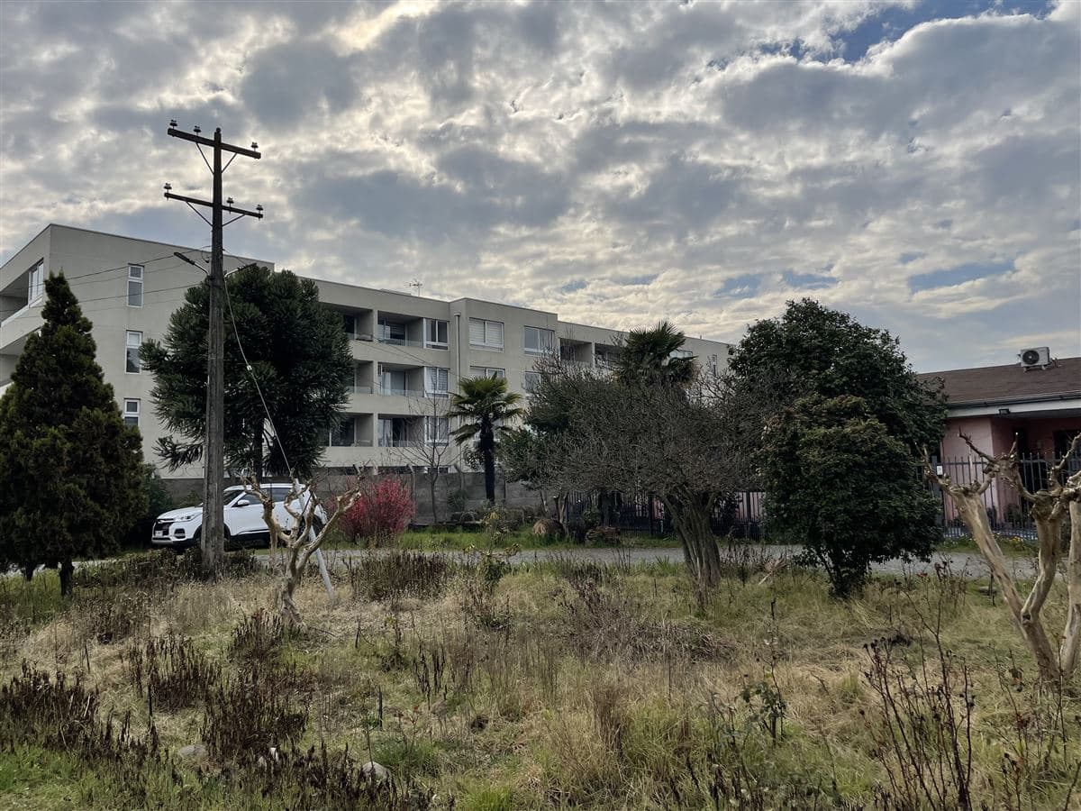 CALLE LOS SAUCES CON CALLE BENEDICTO LEON 