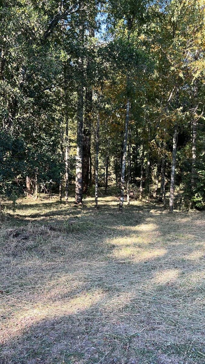 COD 39689 Condominio Brisas del Quelhue