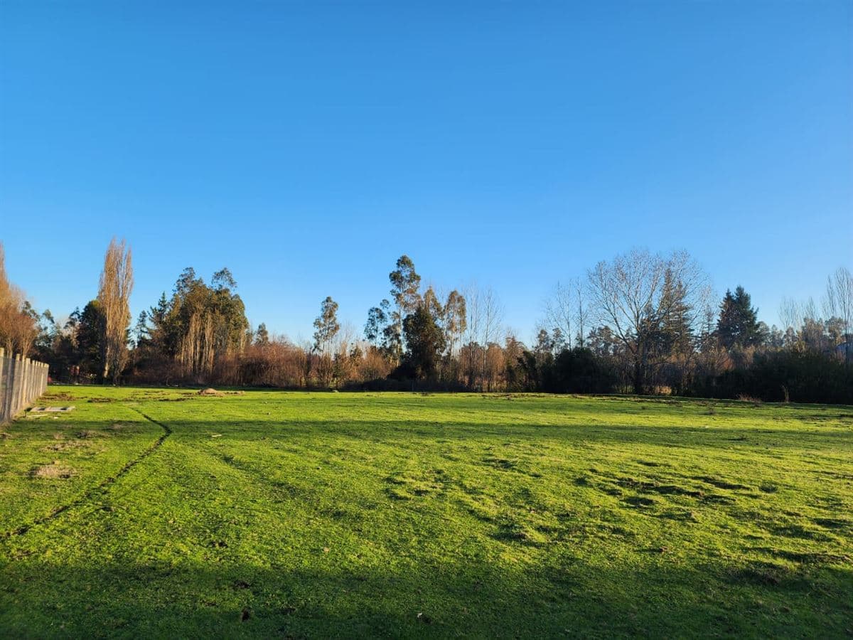 COD37436 Metrenco a 10 minutos Temuco