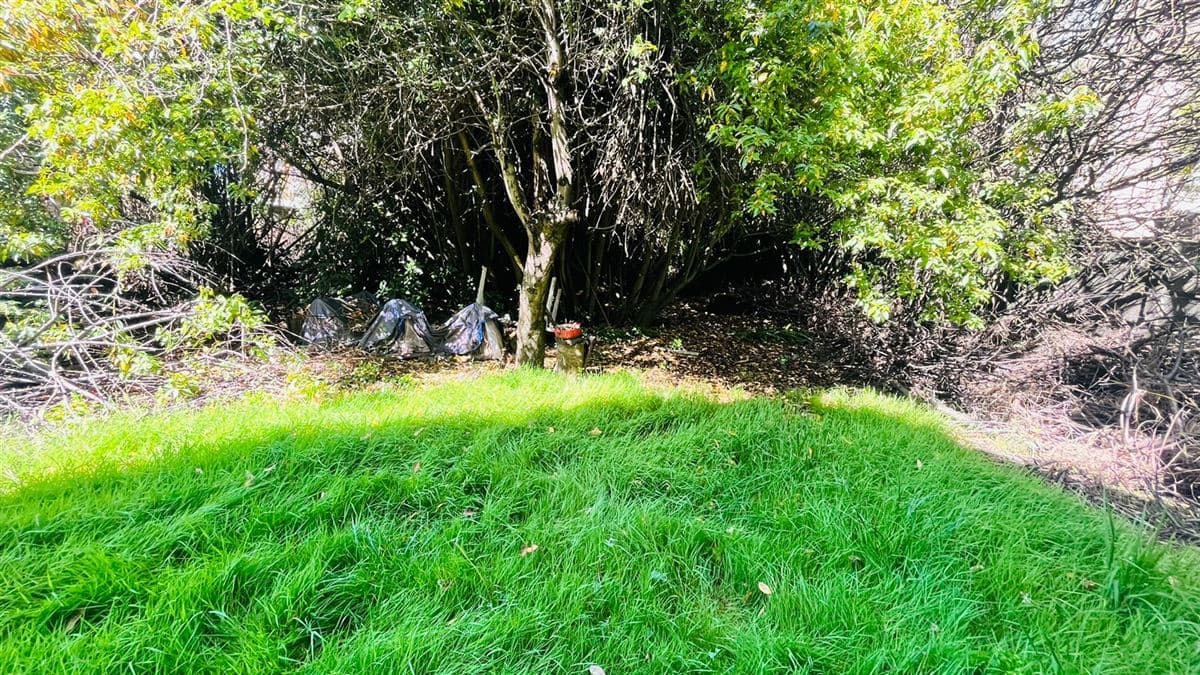 COD36717 Avenida Alemania 