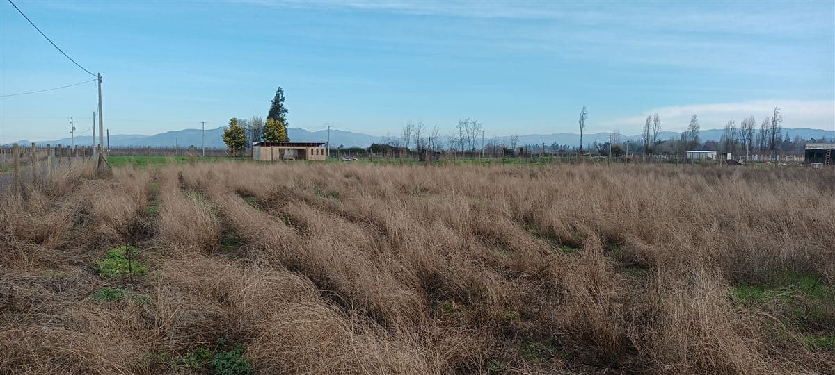 Las Arboledas de Teno