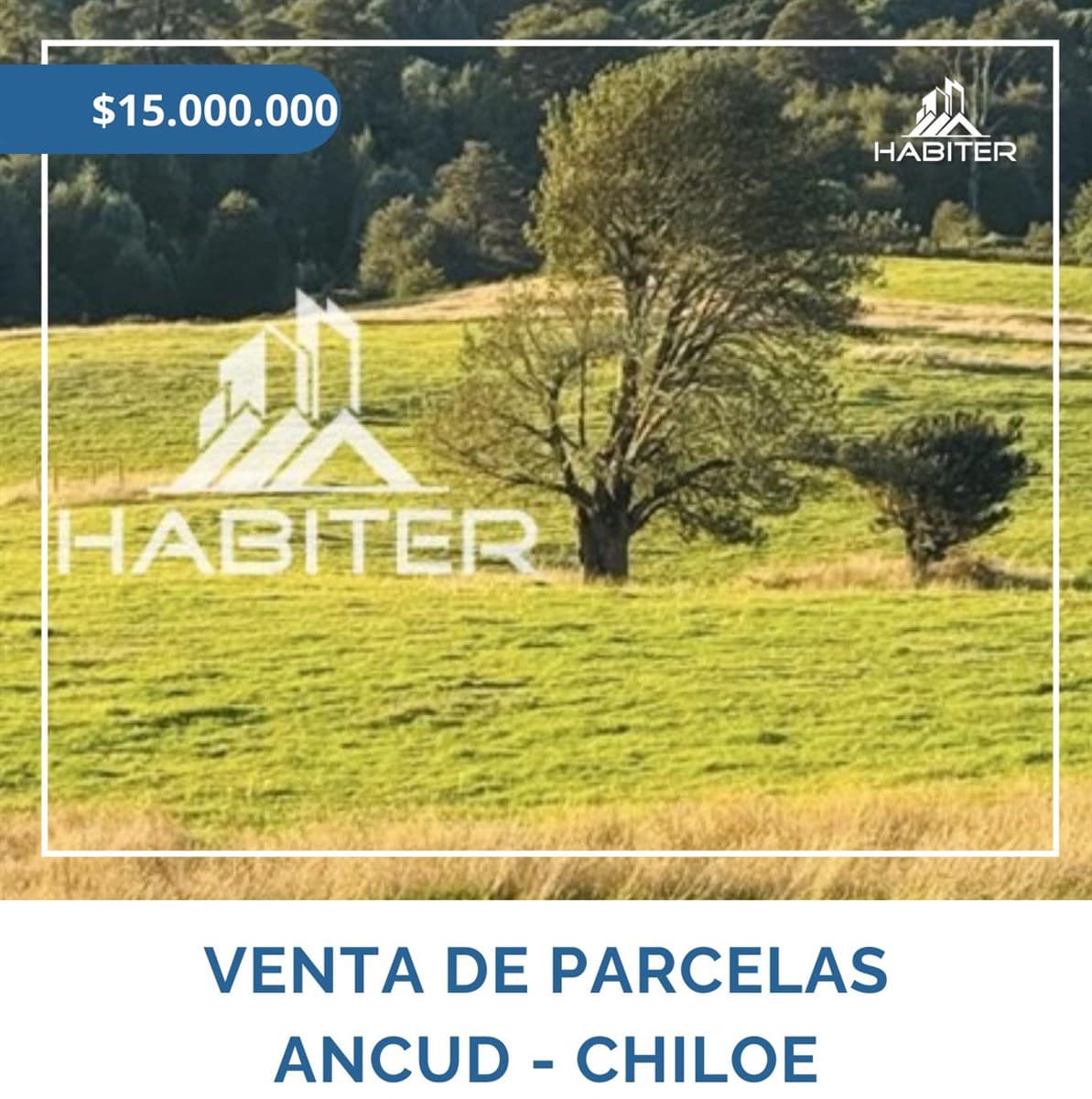 Los Manzanos de Quichitue