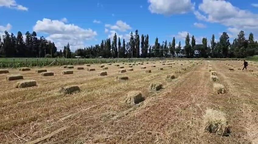 CAMINO SANTA FE,CRUCE LA VICTORIA, 2 KM RIPIO
