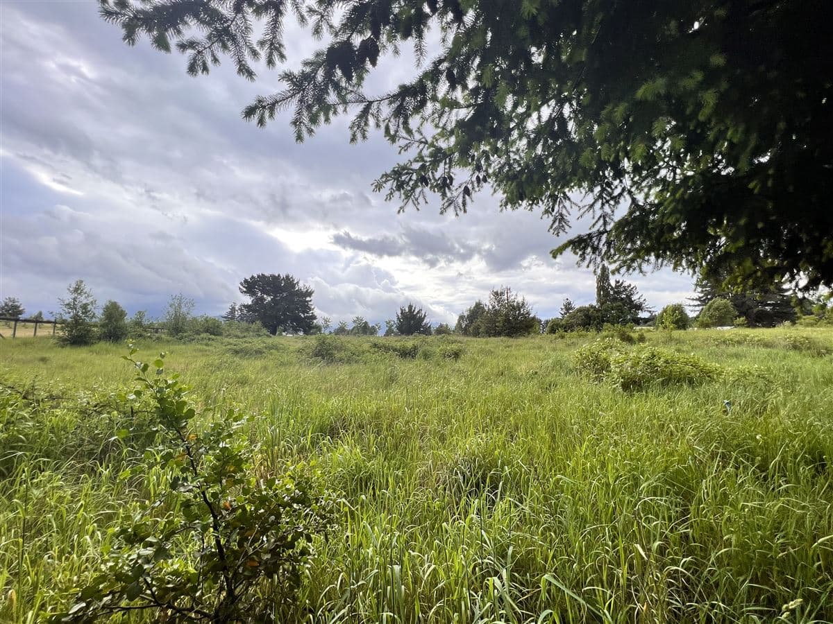 COD36197 Sector Pumalal, acceso por Ruta S-348, Sector Cunco Chico