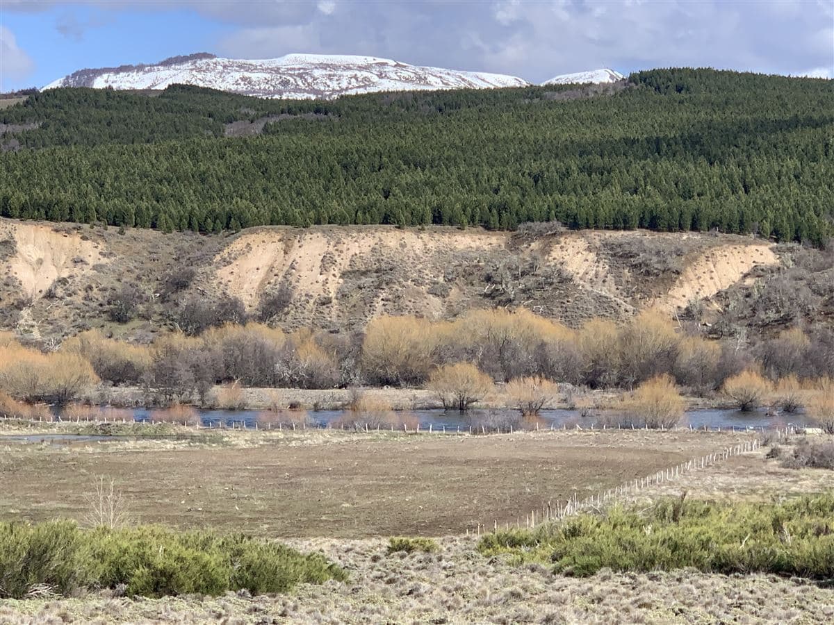 COD36830 Fundo Liucura Lote B