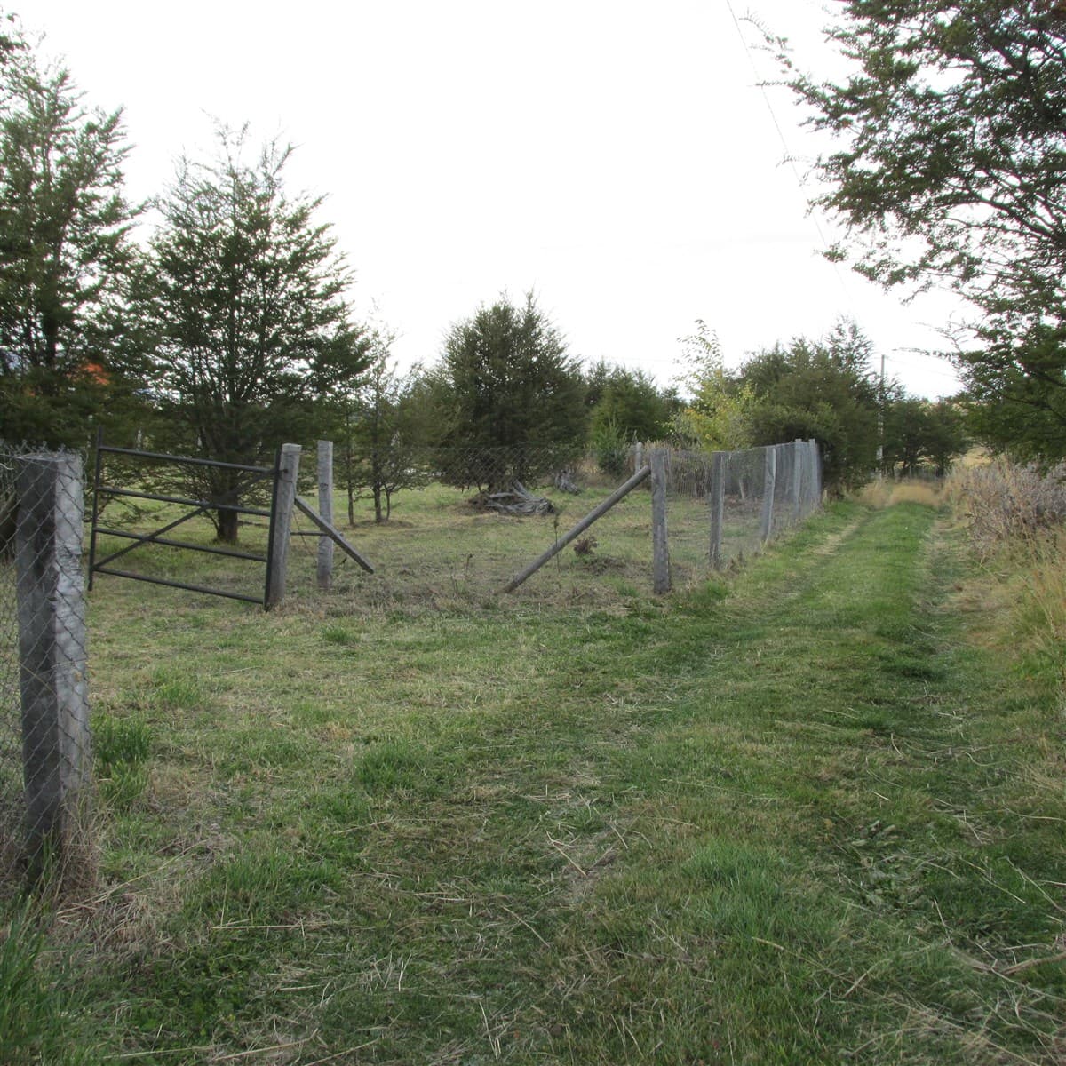 COD38677 - Parcela - Venta - Coihaique