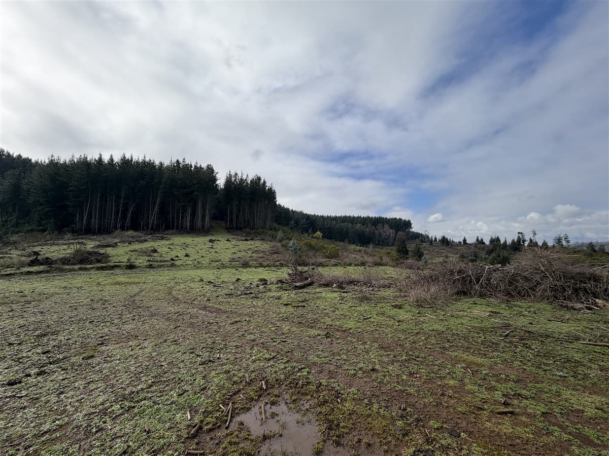 Campo en Sector Niagara