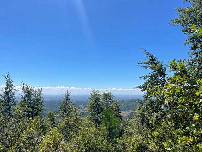 Ubicación: 35°58´45.7"S 71°24´54.4"W