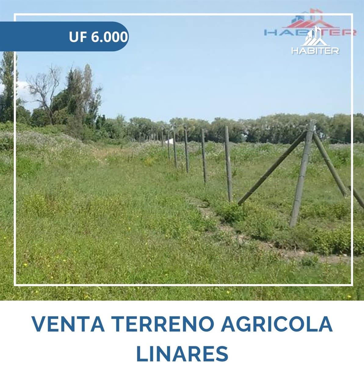 León Bustos 12, Linares