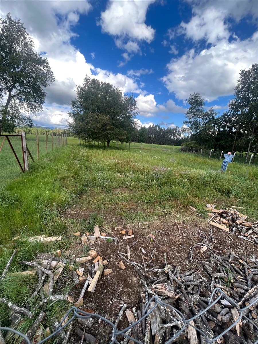 a 5 km Plaza Quilleco