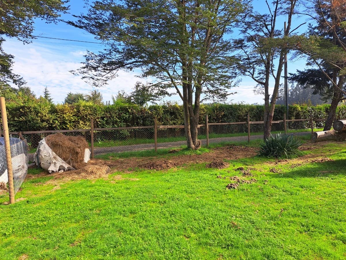 COD38718 Camino Botrolhue