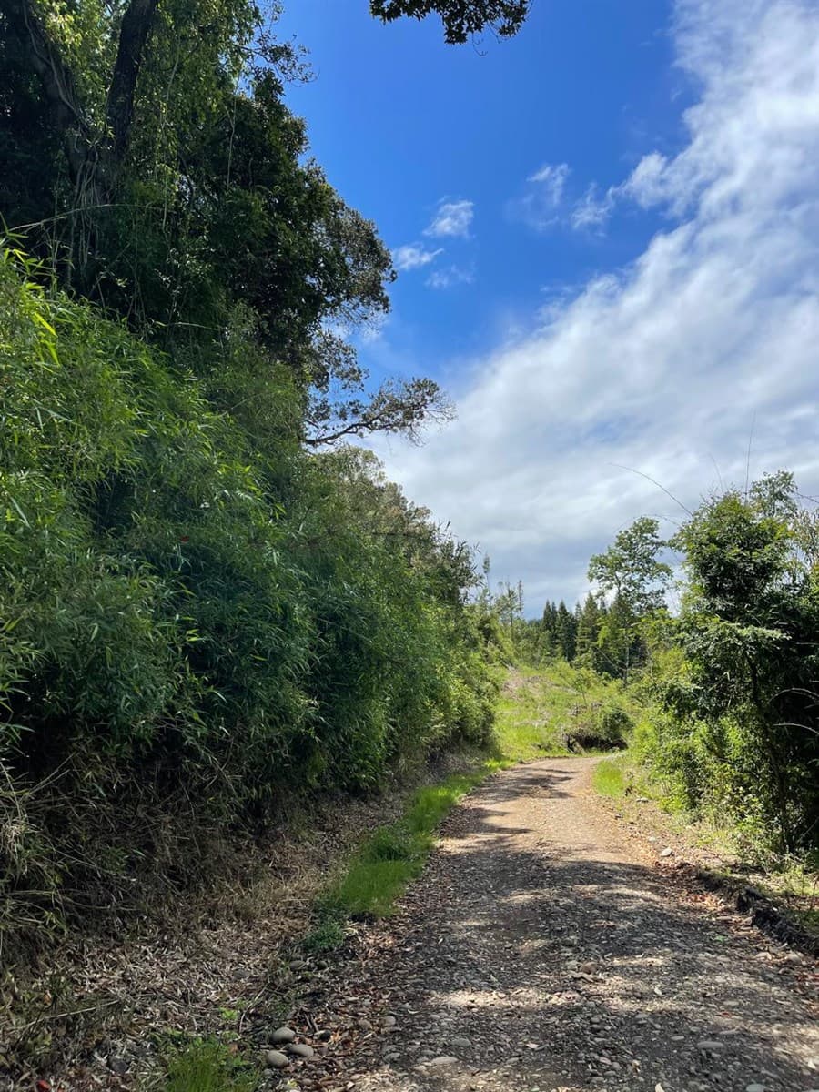 COD39264 A 5 minutos de Temuco Camino Temuco a Cholchol