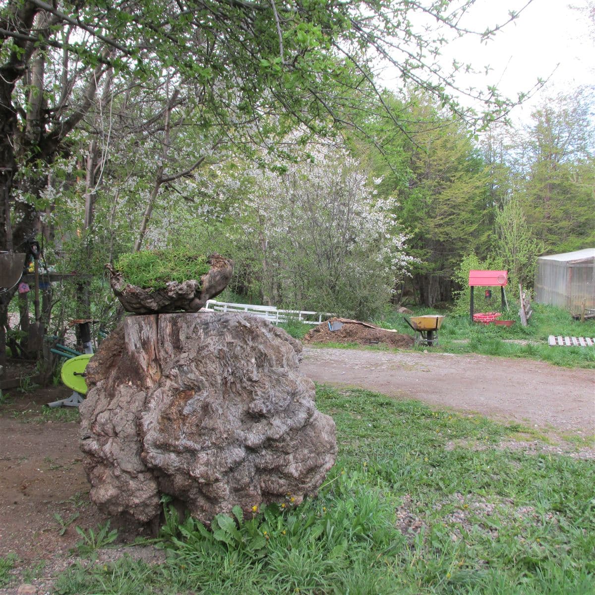 COD38049 - Parcela - Venta - Coihaique