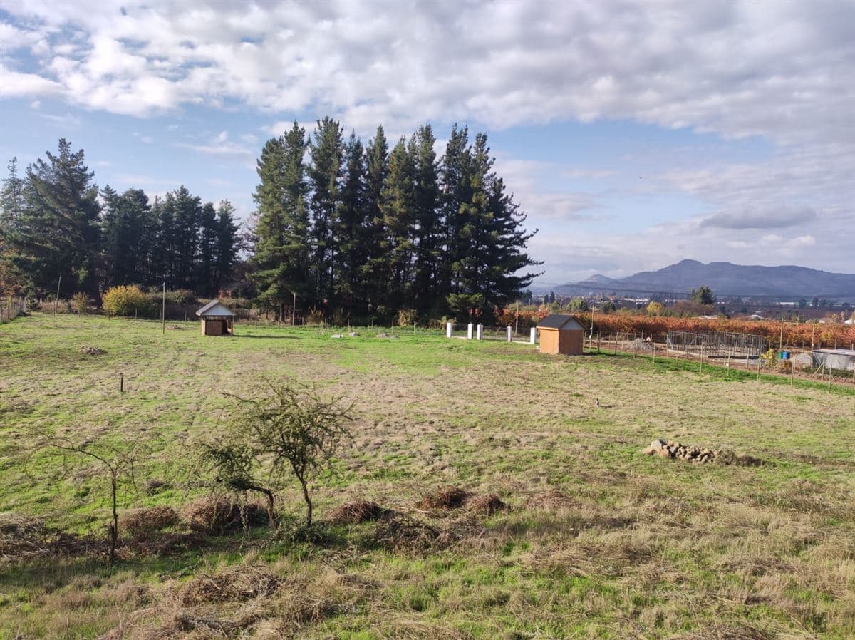 Quilvo Bajo, Romeral