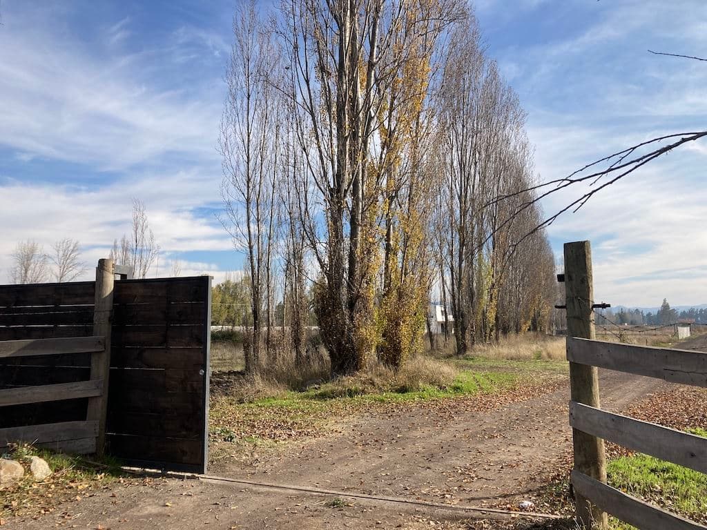 Rincón de Morales, Teno