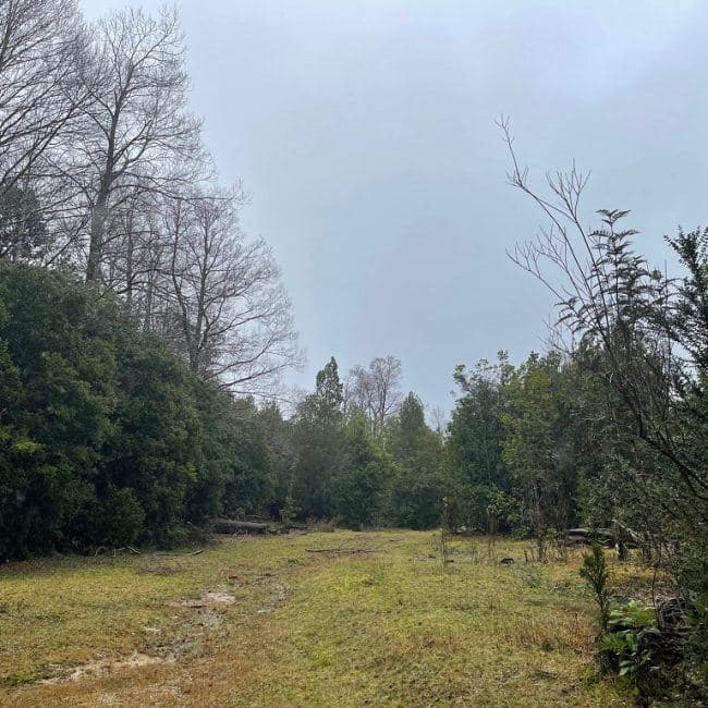 QJXF+HRM Comieufu, La Unión