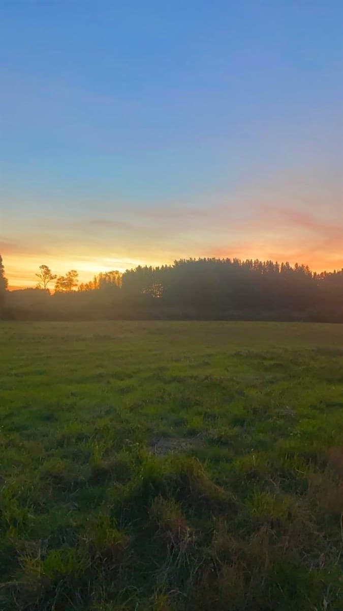 COD39141 ¡¡¡REBAJADA!!! VENDE PARCELA EN CONDOMINIO LAS TRANQUERAS DE HUICHAHUE