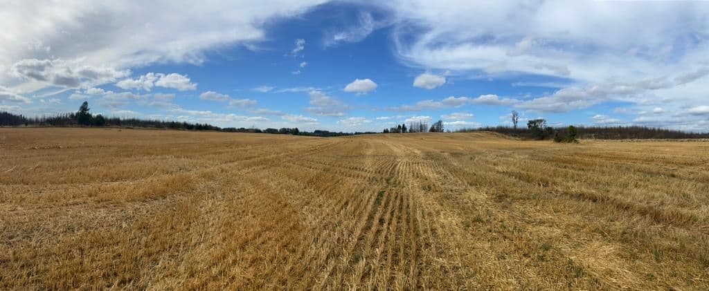 COD35728 Lo Parado, Vilcún, a 30 minutos de Temuco