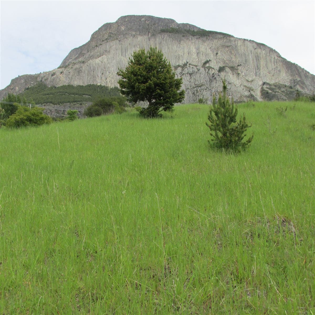 COD36804 - Parcela - Venta - Coihaique