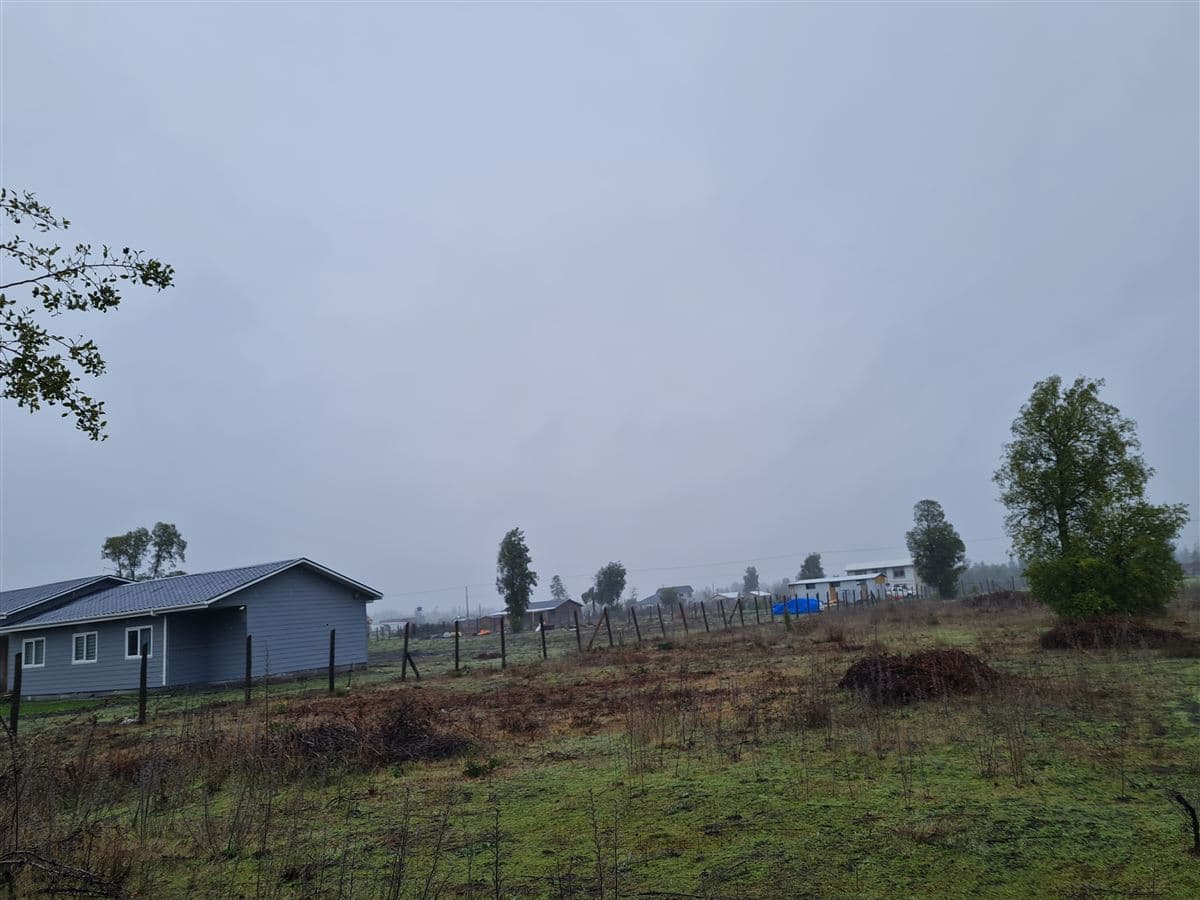 17 km camino Pedregal