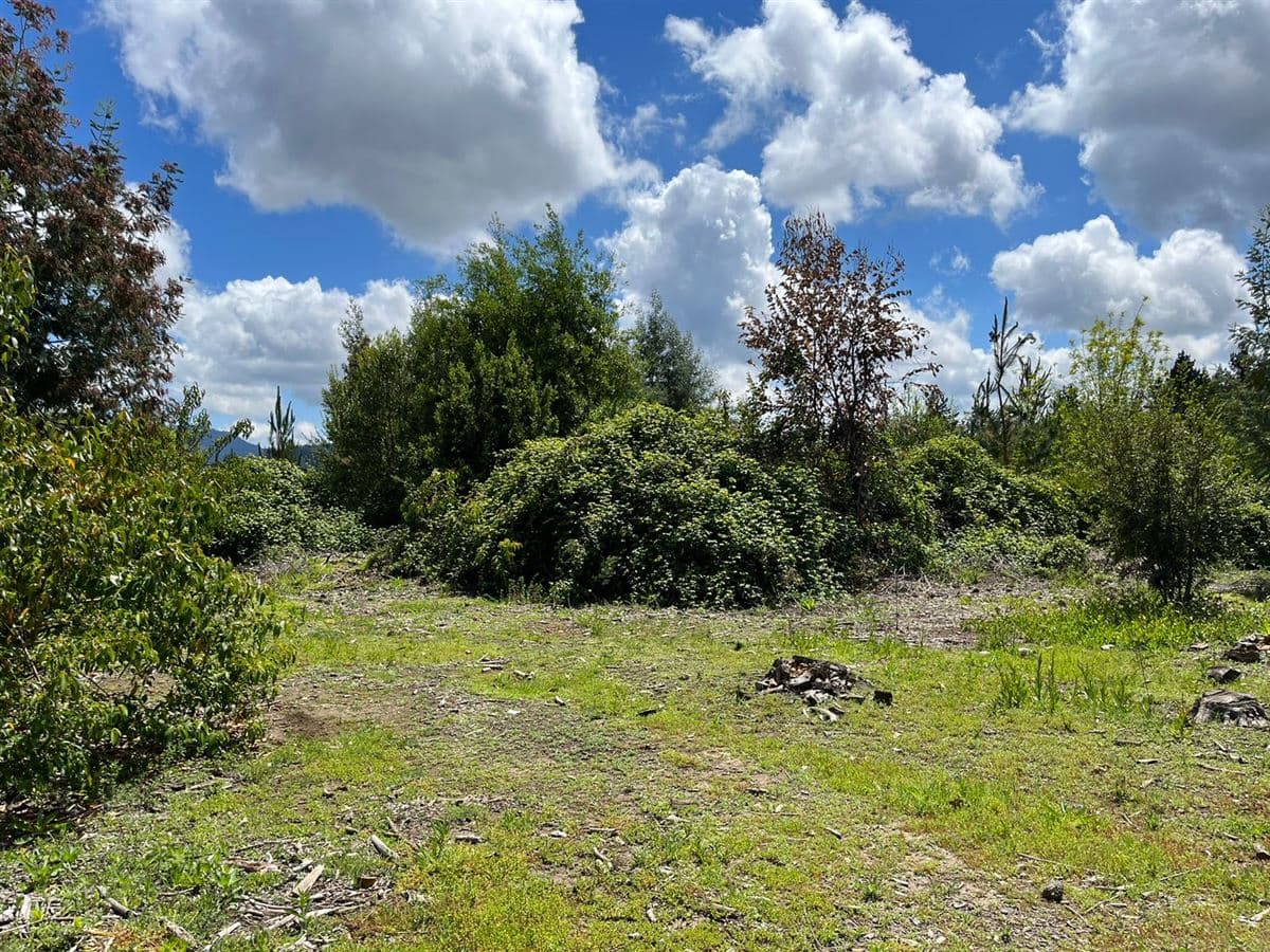 vilches, san clemente 