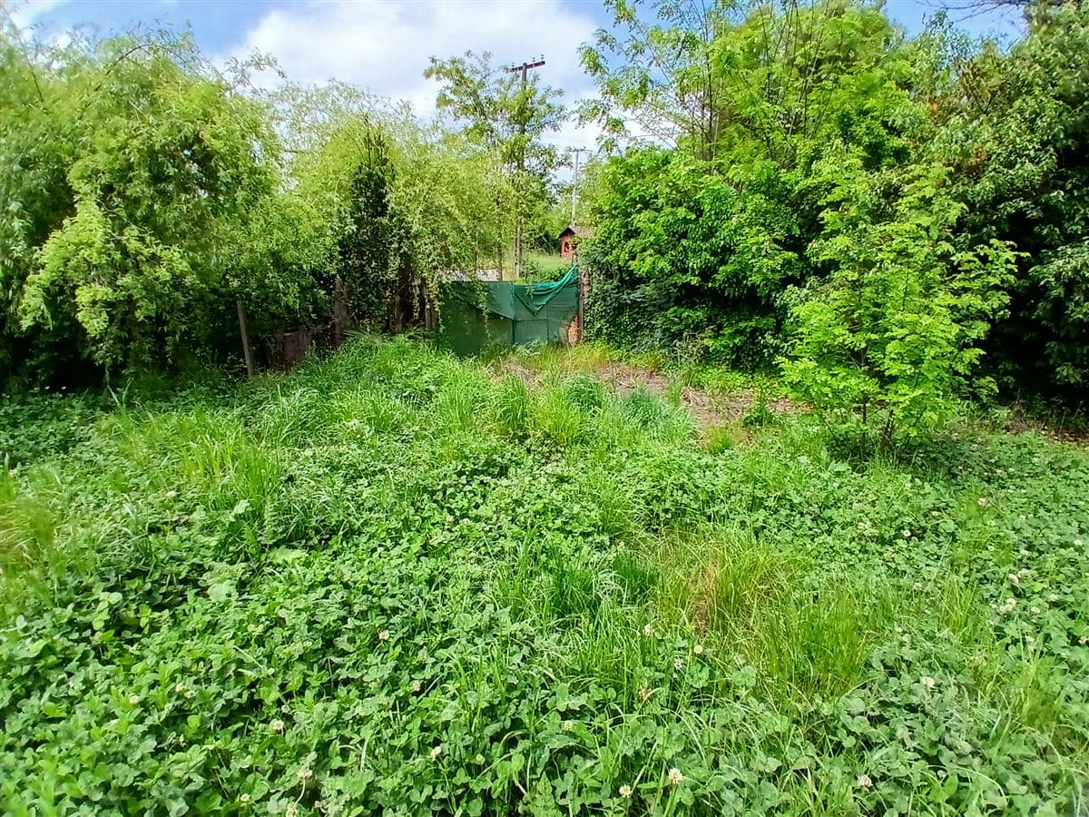 sector El Ajial, comuna de Retiro.