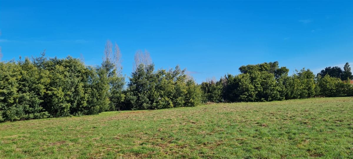 Km. 8 Camino Nacimiento