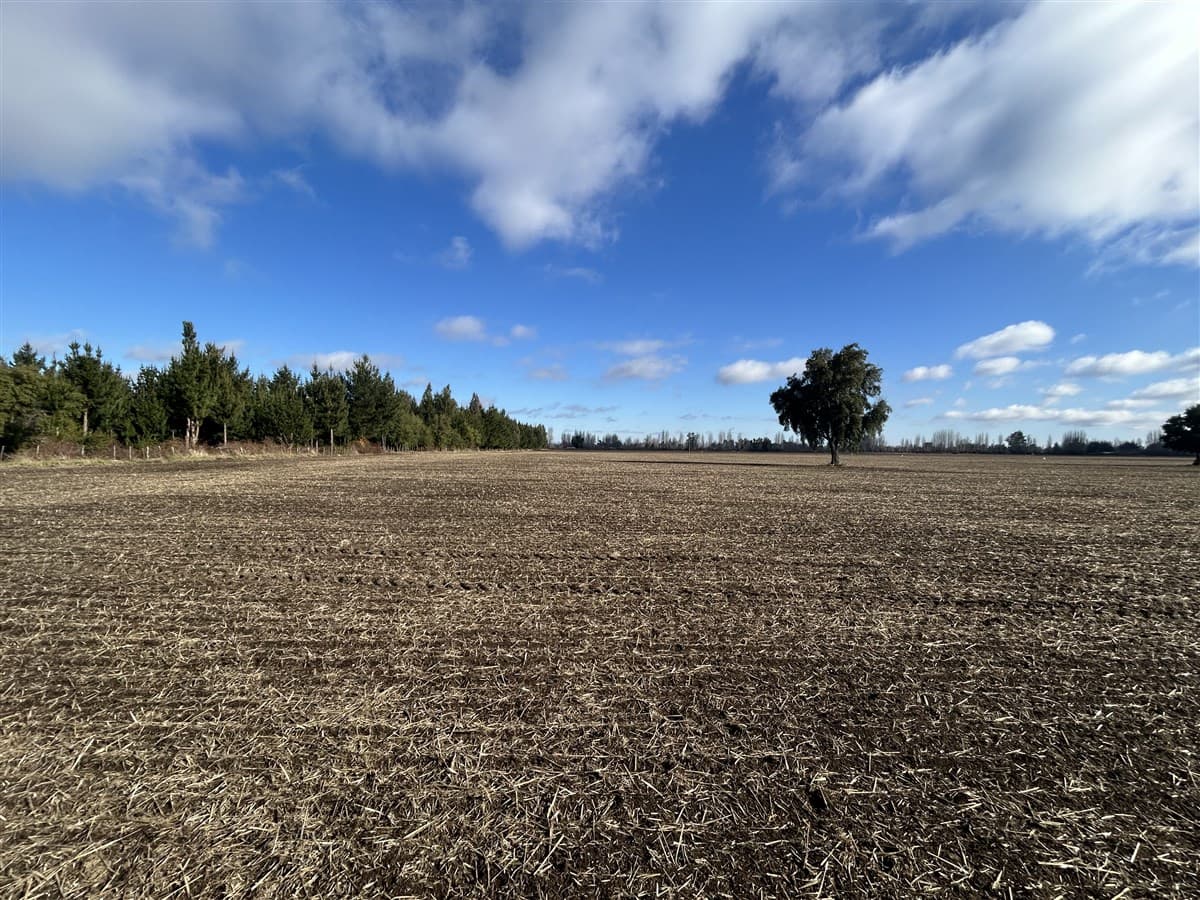 Camino San Luis-Chacayal 