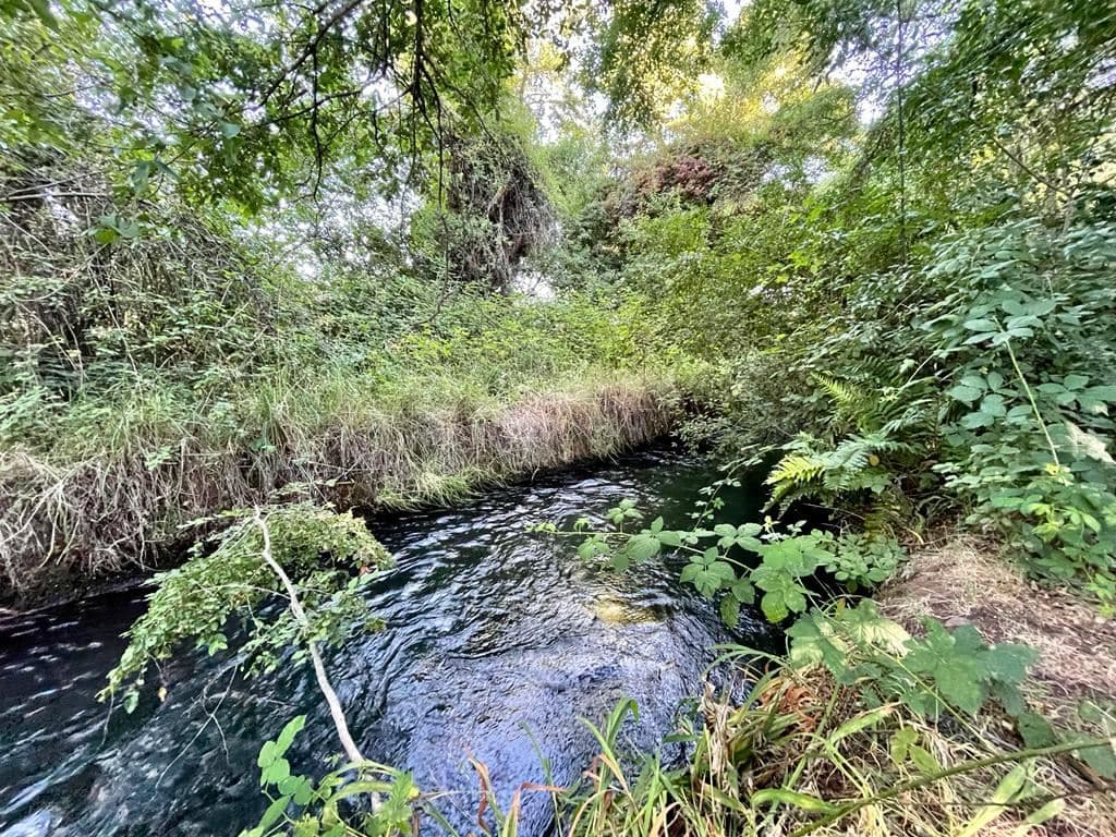 COD36353 Desarrollo Industrial en Ruta 5 Sur Salida Norte Temuco Comuna Lautaro