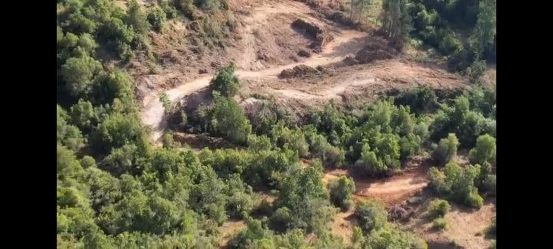 Precordillera Linares