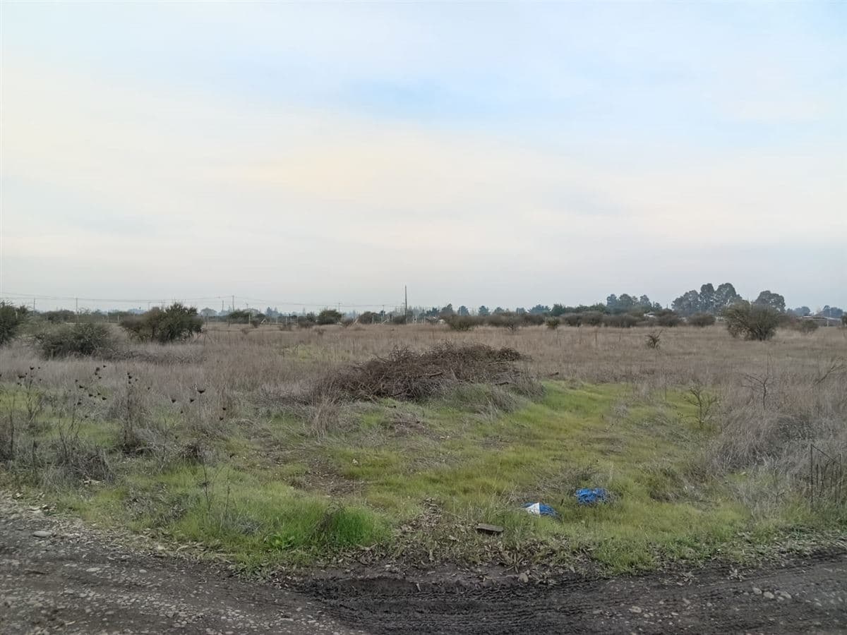 COD37206 Parcelas Emilia Km 5 Ruta N-48-O Bulnes