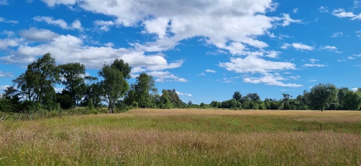 COD38937 a 25 kilometros de Temuco, camino a Maquehue, sector Quepe Boroa