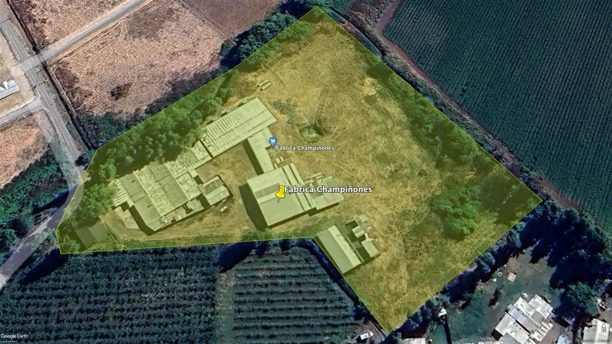 SECTOR EL LLANO DE RAUCO