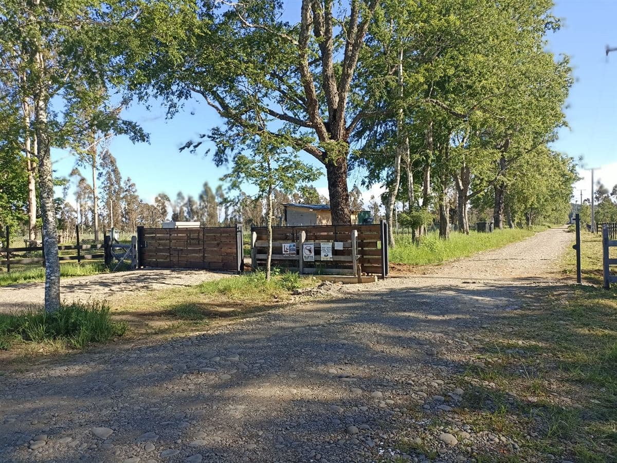 COD36880 Sector Millahuin