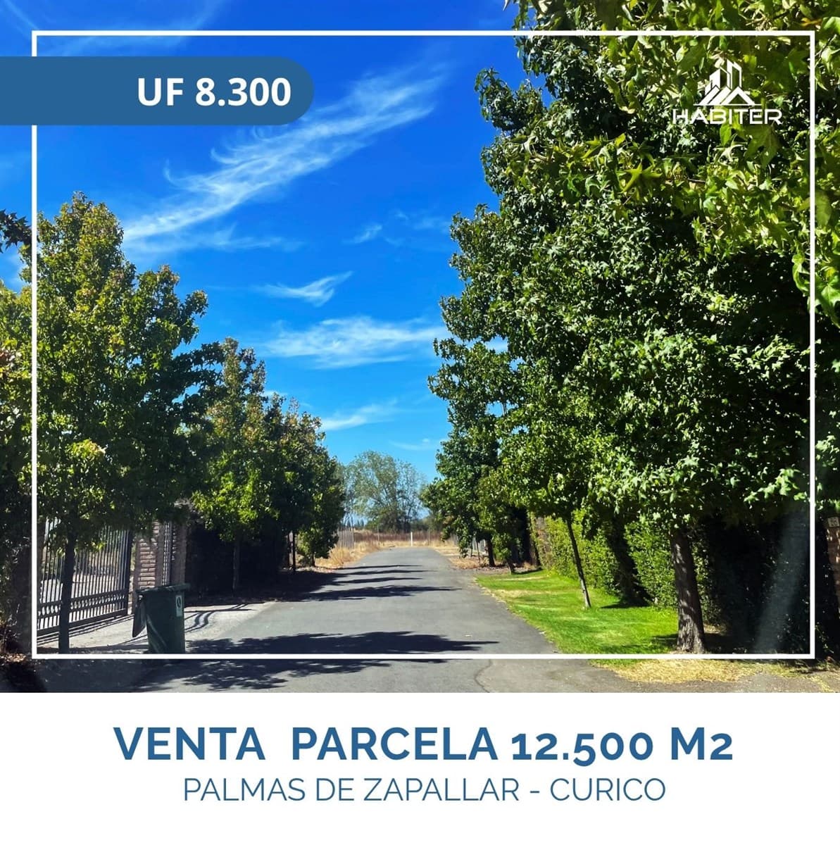 Las Palmas de Zapallar