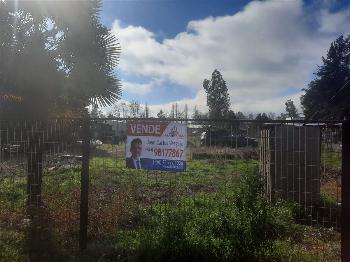 Sector Los Castaños