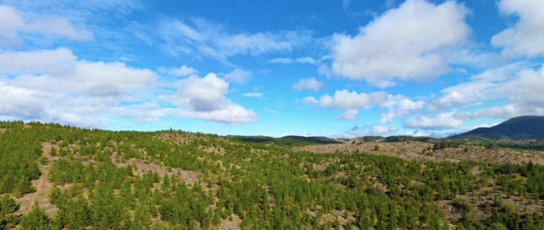 COD38626 Ruta Los Conquistadores Sauzal Cauquenes