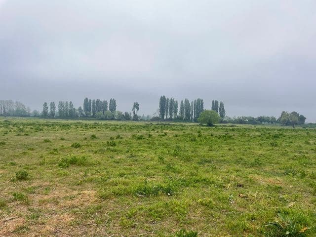 Ruta 5 Sur - Copihue