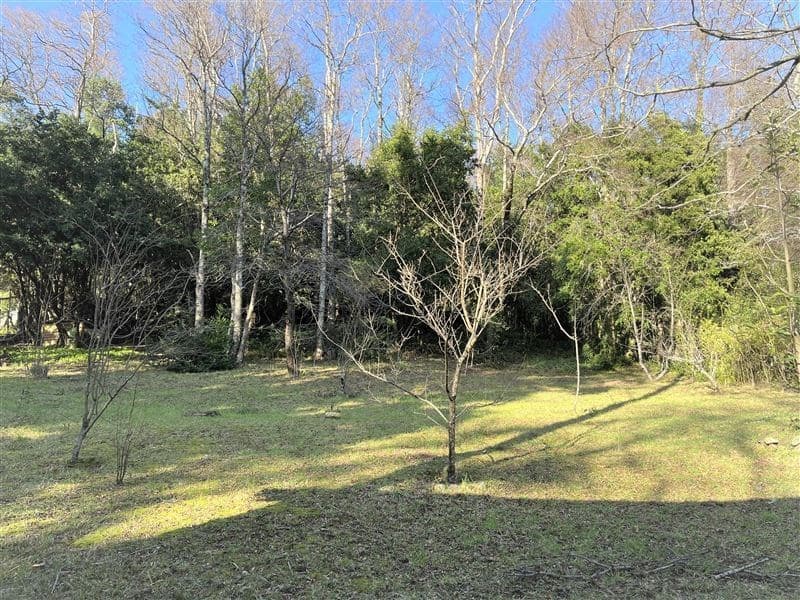 COD39336 - Variante Internacional Pucon