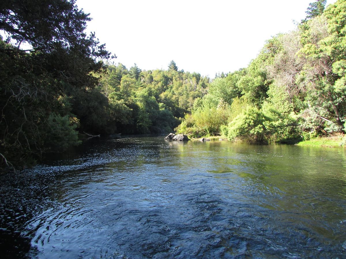 COD35166 Camino Galvarino a Traiguén Bosque y Agricola