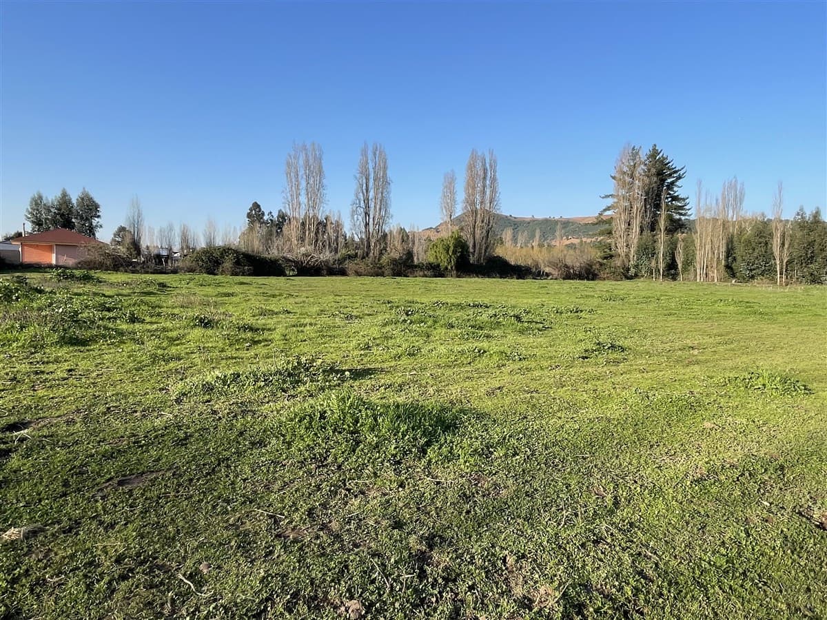 ISLA DE YAQUIL SIN NUMERO SECTOR LA FINCA